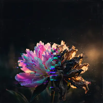 Square 1:1 album cover artwork: a flower glitching between bloom and decay, UV colors, digital artifacts, pure breakcore energy. Raw flash-photo