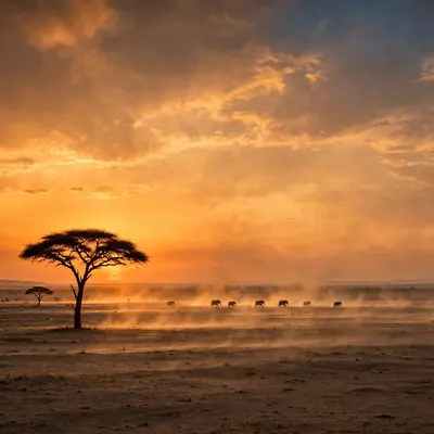 A lone acacia tree silhouetted against a molten African sunset, elephants ambling across the dusty plain, heat shimmer in the air. Safari landscape