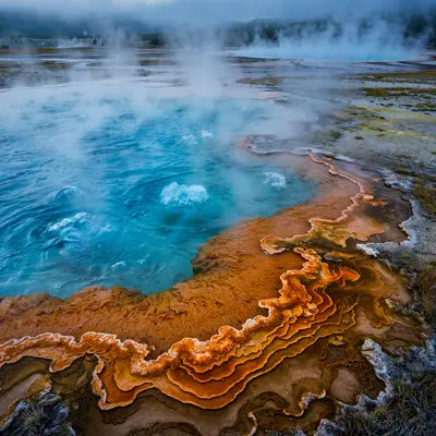 Bubbling turquoise hot springs and orange bacterial mats in Yellowstone's geothermal basin, steam curling in cold morning air. Geothermal