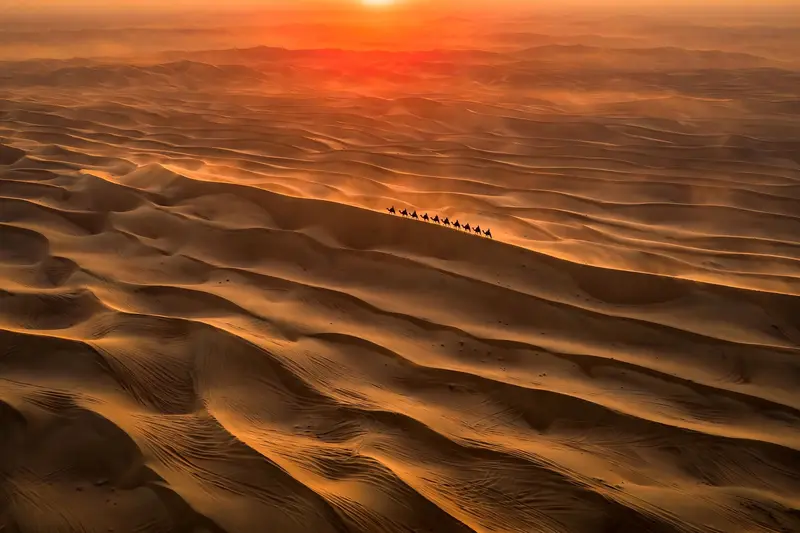Endless Sahara sand dunes rippling to the horizon under a blazing orange sunset, a lone caravan silhouette crossing a ridge. Epic desert photography